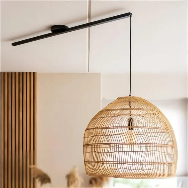 Apollo Swing Arm Pendant Hanging System